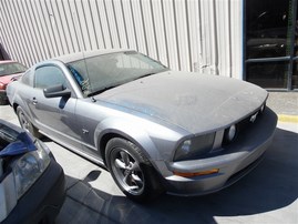 2006 FORD MUSTANG GT GRAY 4.6 AT F19083